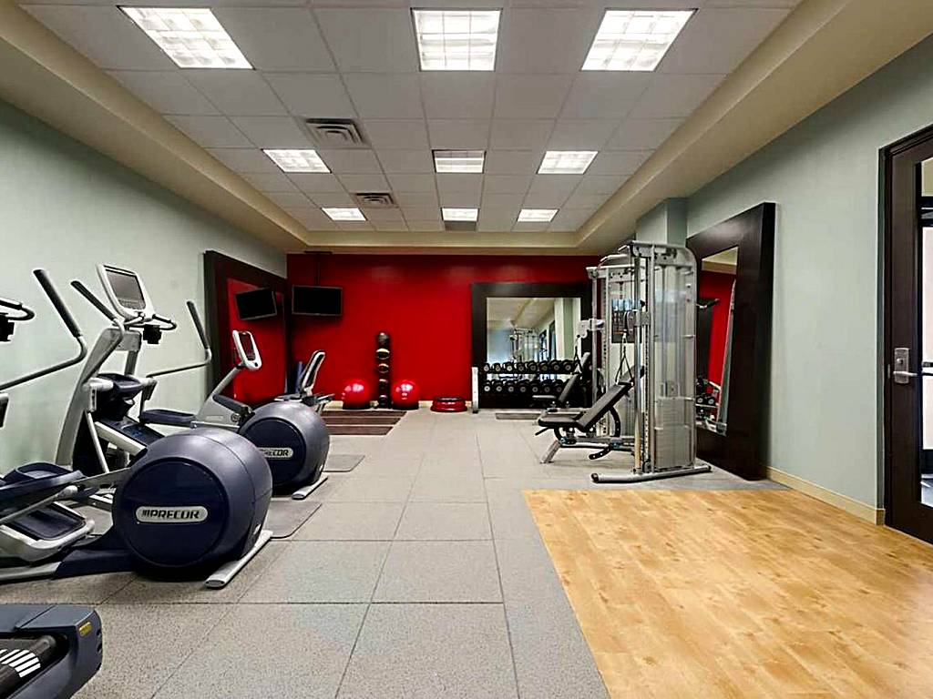 Embassy Suites by Hilton Orlando Lake Buena Vista South