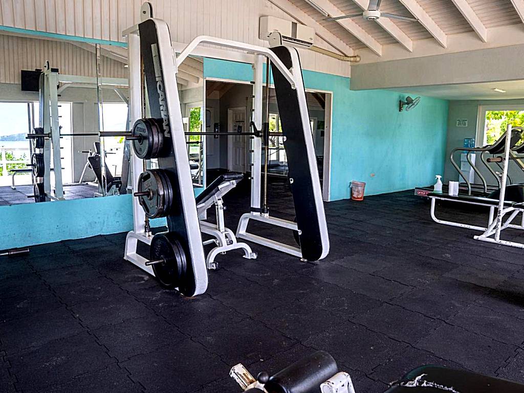 Luxury Apartments and Rooms