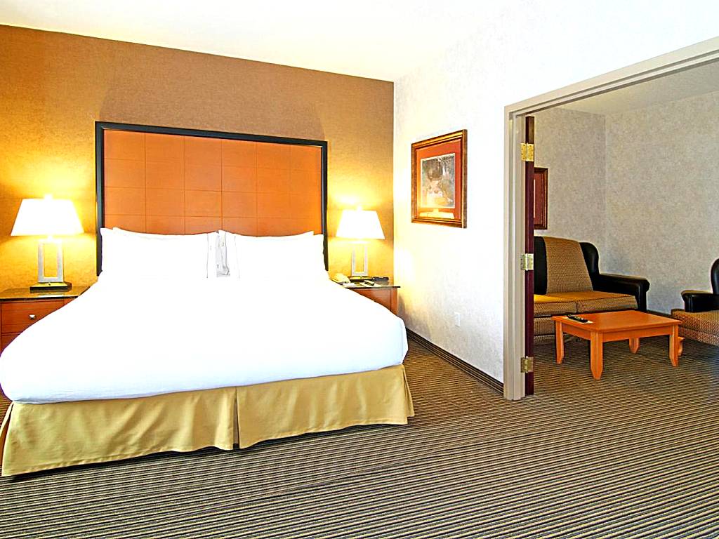 Holiday Inn Express Calgary South: Executive King Suite with Balcony