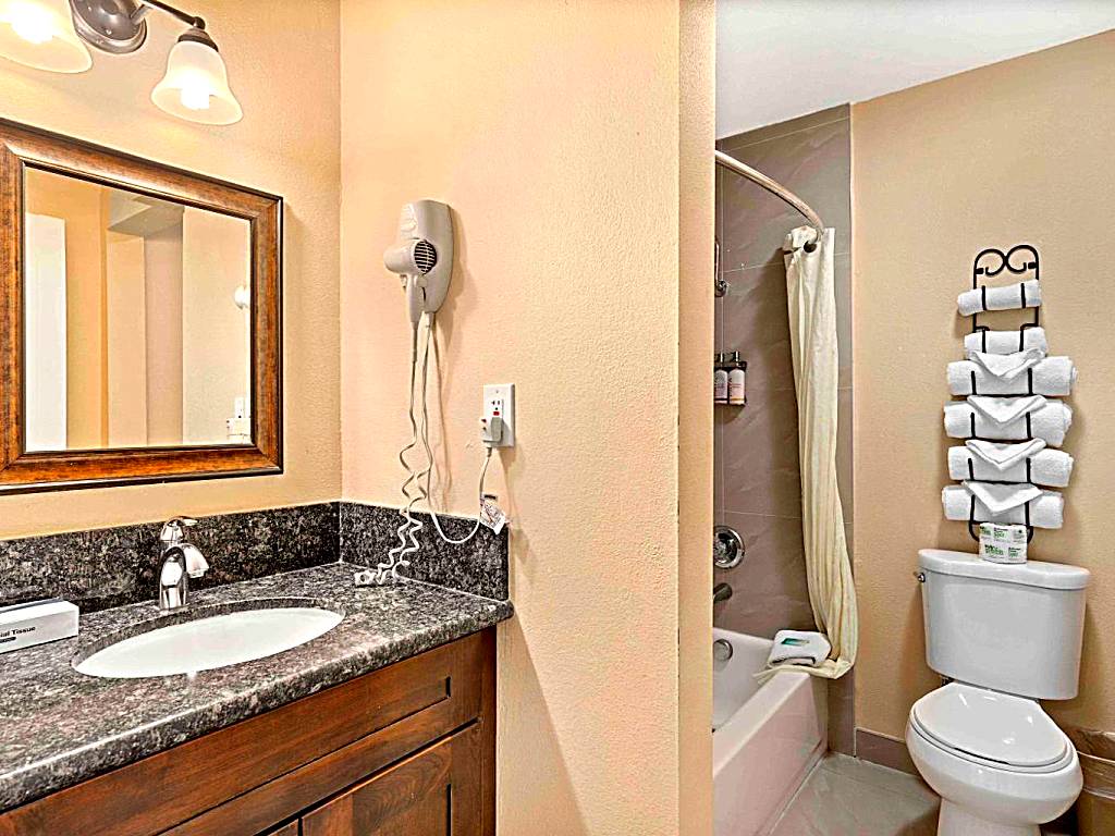 The Lemon Tree Hotel: Suite with Patio (Anaheim)