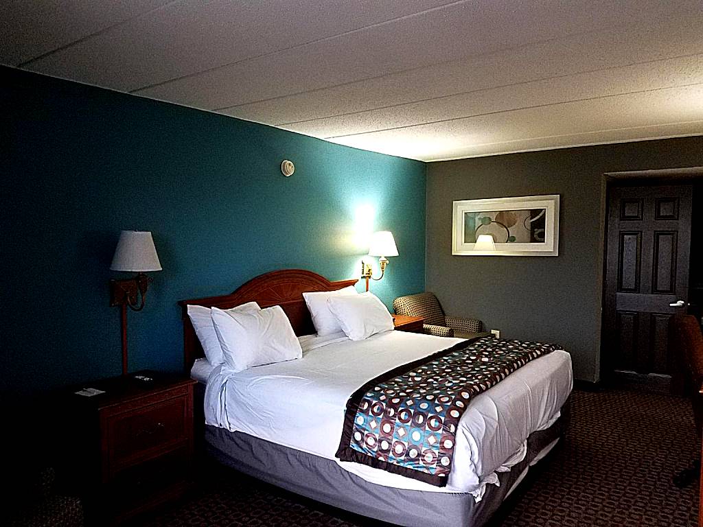 Americas Best Value Inn St. Louis Downtown: King Room - Smoking