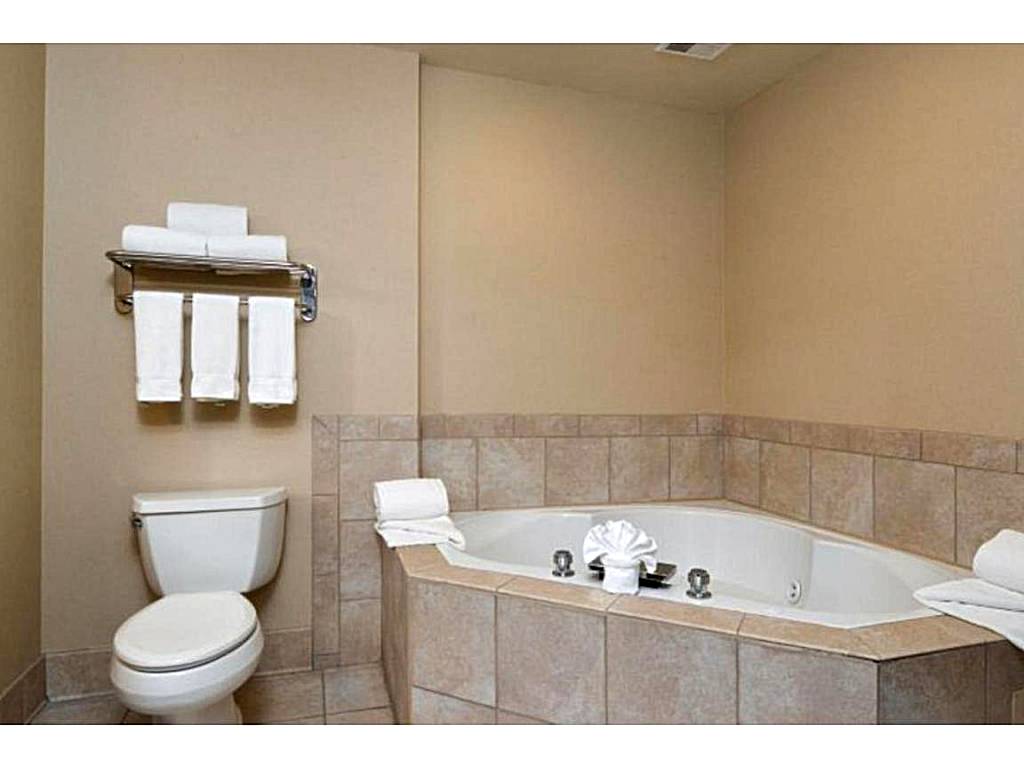 Holiday Inn Express Hotel & Suites Cherry Hills: One-Bedroom Executive King Suite (Omaha)